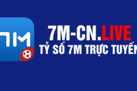 7mcn Live - Tin Tức Bóng Đá Mới Nhất